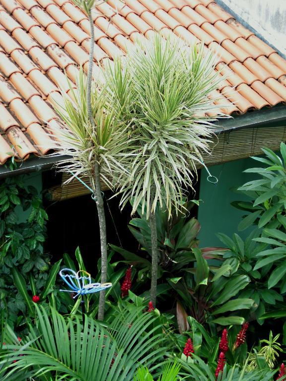 Pousada Redfish Salvador Ngoại thất bức ảnh